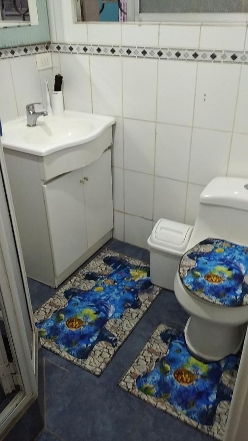Gatos Tiernos Otel Santiago Dış mekan fotoğraf